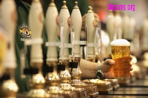 Bars et boites de Tarbes