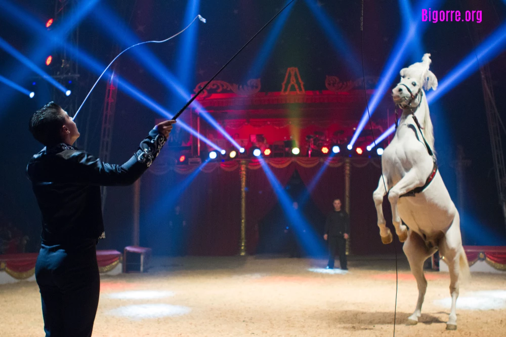 16/02/16 : Le Cirque Amar à Tarbes  