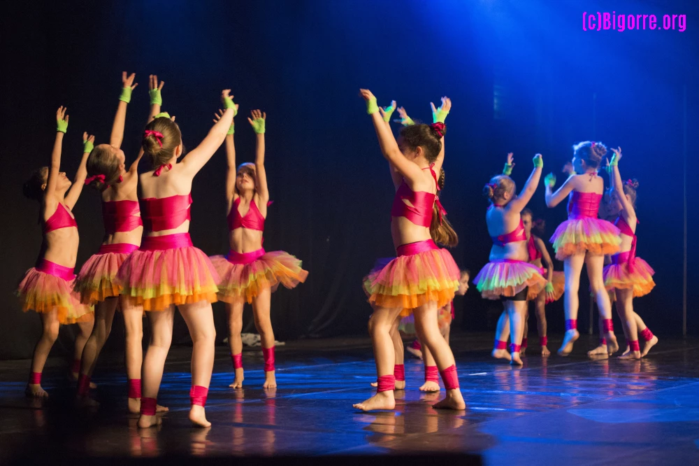 Gala de Evidanse au Parc des Expos de Tarbes