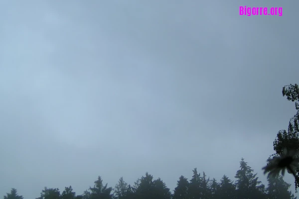 light intensity drizzle light intensity drizzle