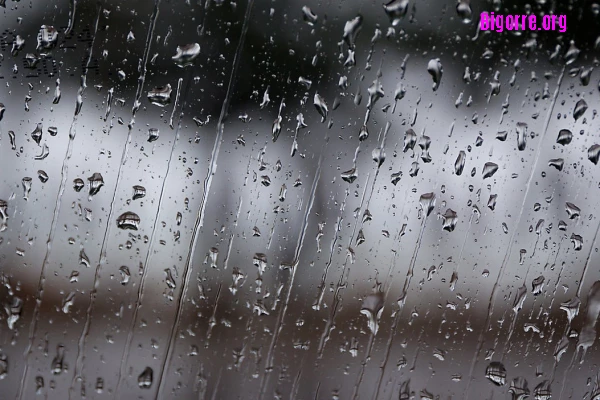 drizzle rain drizzle rain