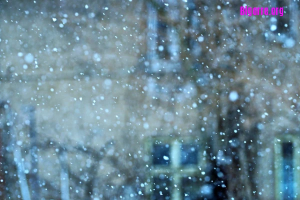 Snow Snow