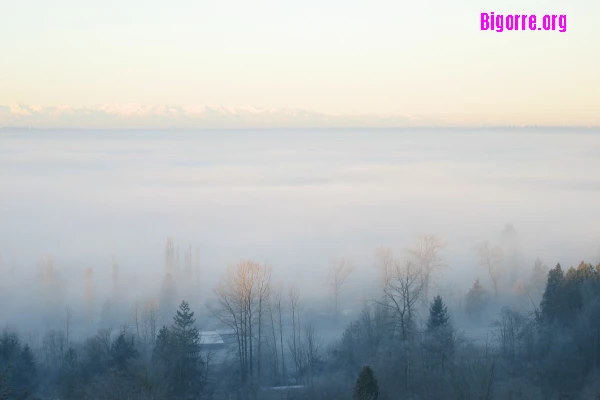 brouillard brouillard