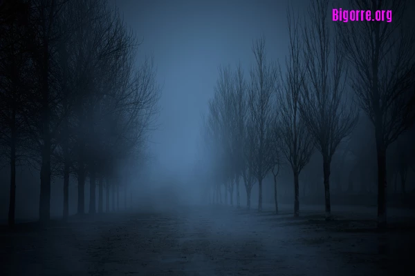 mist mist