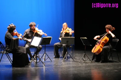 11/04/08 : Quatuor Métamorphose/ Stéphane Boularand (c)Bigorre.org