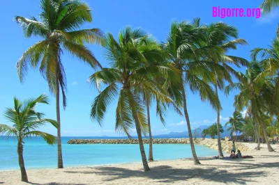 Plage de Sainte-Anne en Guadeloupe, photo Rolland Pomaret (licence CC-BY-2.0)/ Rolland Pomaret