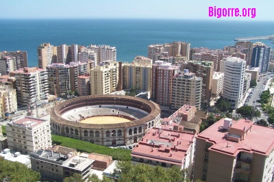 5 raisons de profiter de Málaga en automne