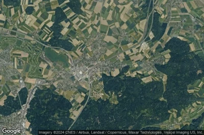 Gare Schönbühl Platane