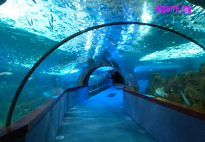 Aquarium de Donostia-San Sebastián
