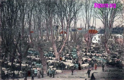 Place du Foirail et le marché aux bestiaux à Tarbes