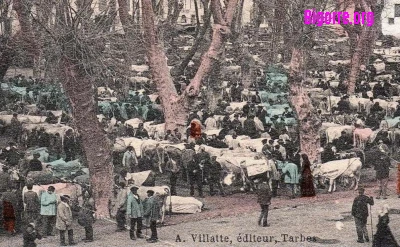 Place du Foirail et le marché aux bestiaux à Tarbes