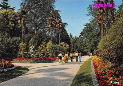 Allée de palmiers dans le Jardin Massey à Tarbes