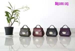 Boutiques d'accessoires de mode