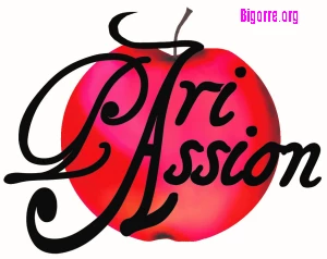 Festival Pari Passion