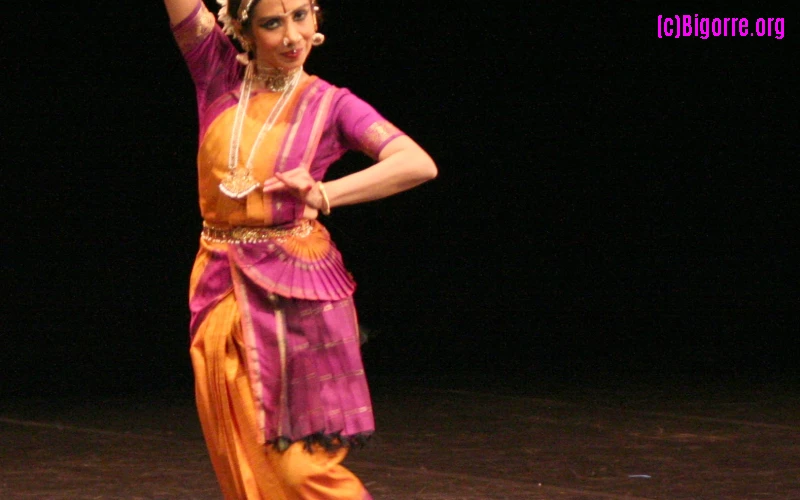 L’Inde d’Alarmel Valli au Parvis