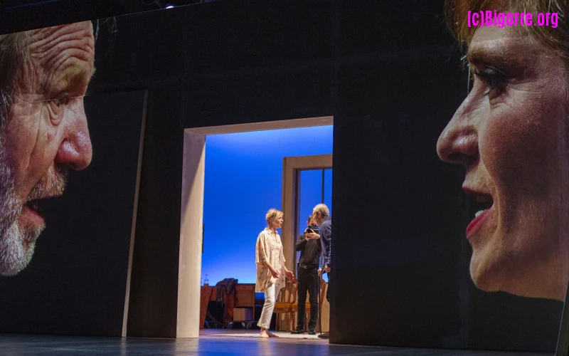 La mouette en plan serré