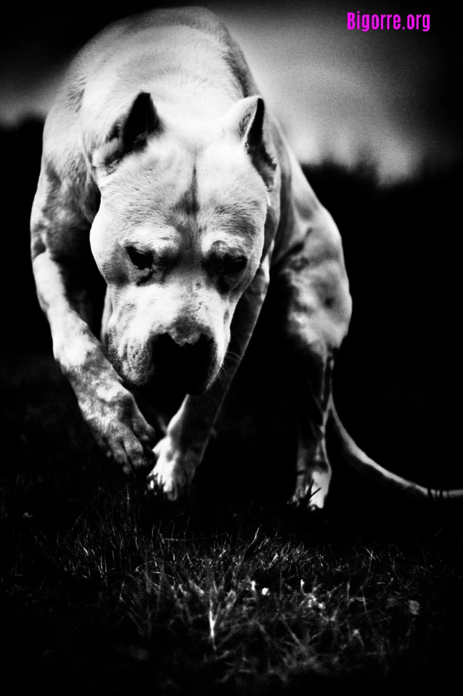 Un Richard III audacieux et percutant