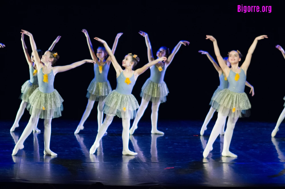 Un gala de danse utile et agréable
