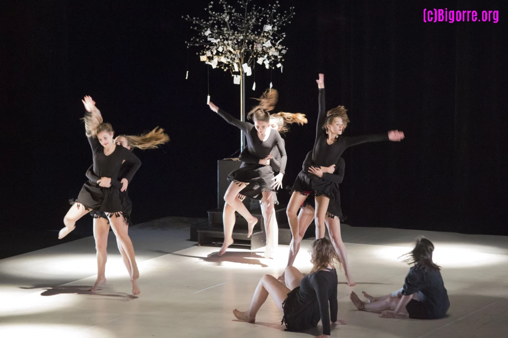 Gala de l'école de danse Dutrey au Parvis