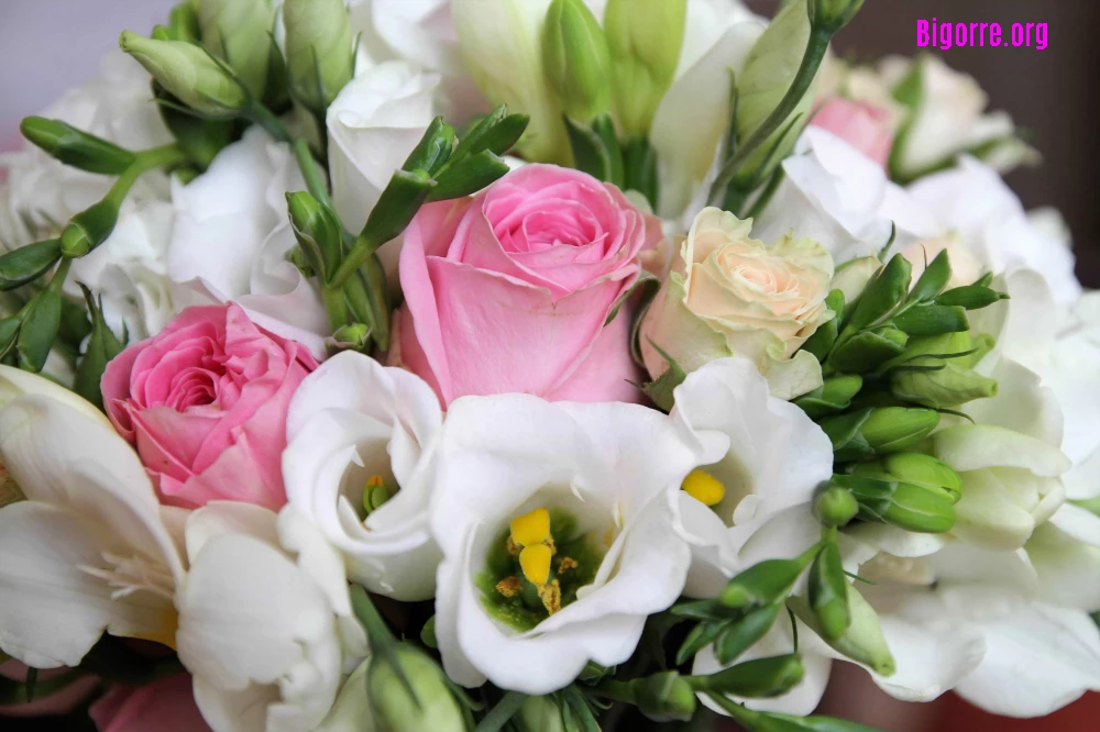 Les Fleurs du mâle