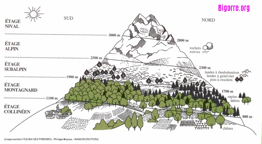 Les étages en montagne