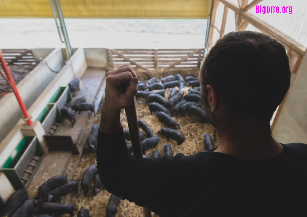 La Ferme de Luis