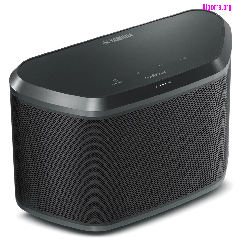 Yamaha WX-030