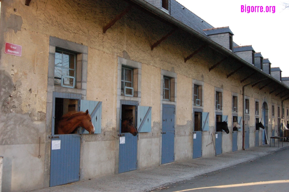 Haras National à Tarbes