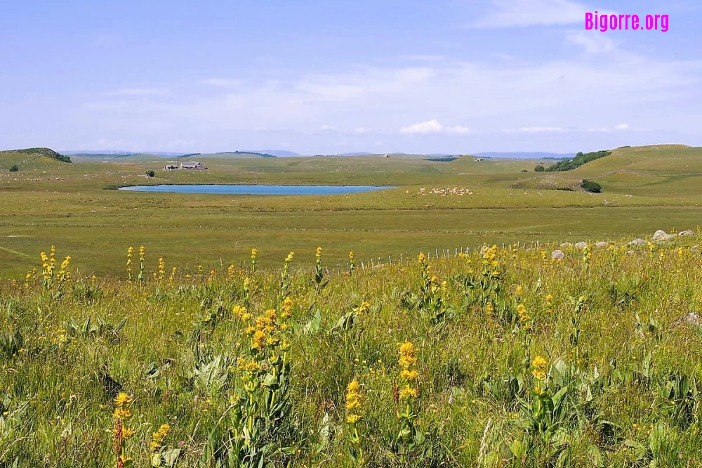 Station de montagne Aubrac Sud