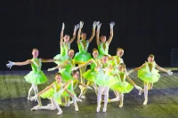 20/04/13 : Le gala de danse du Lions Club