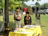 Marie Perrut, secrétaire du groupe Tarbes-Bigorre d’Amnesty International, à Soues pour la Fête de la Paix