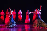 Un gala de danse utile et agréable