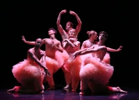 TuTu, photos de Michel Cavalca, photo de Stéphane Boularand (c)Bigorre.org