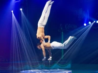 Le cirque Amar à Tarbes/ Stéphane Boularand (c)Bigorre.org