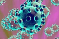 coronavirus Covid-19