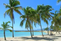 Plage de Sainte-Anne en Guadeloupe, photo Rolland Pomaret (licence CC-BY-2.0)/ photo de Rolland Pomaret