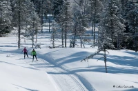 Haute Joux