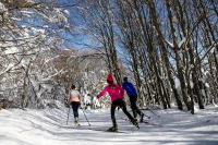 Station de montagne Les Trois Fours