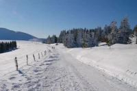 Station de montagne Pessade