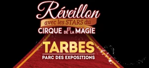 http://www.tarbes.fr/fichiers_agenda/114537reveillon.png