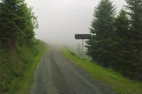 Coldes Spandelles Coldes Spandelles