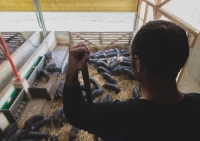 La Ferme de Luis La Ferme de Luis
